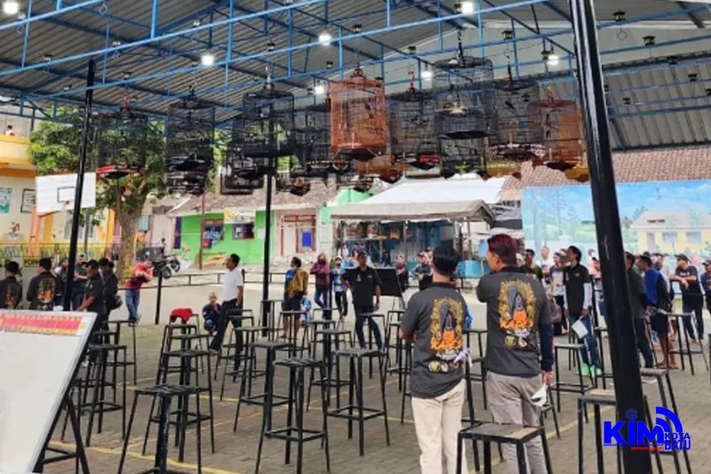 Lomba Burung Berkicau Tk. Jatim Di Rest Area Bumdes Mayangsari