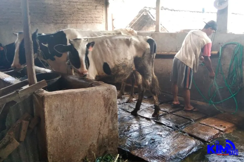 Instalasi Biogas Berhasil Di Dusun Tuyomerto